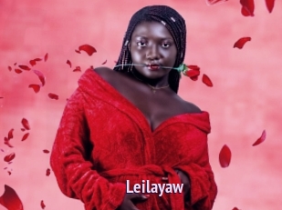 Leilayaw