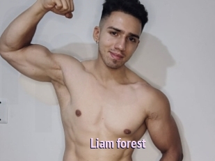 Liam_forest