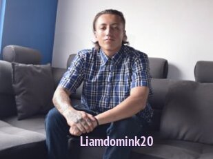 Liamdomink20