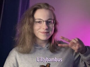 Lillybambus