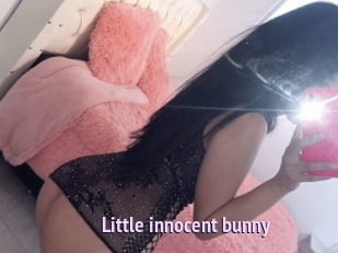 Little_innocent_bunny