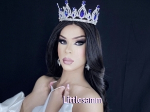 Littlesamm
