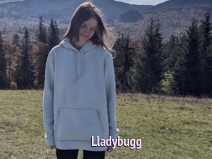 Lladybugg