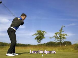 Lovebirdpenis