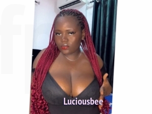 luciousbee Film Porno