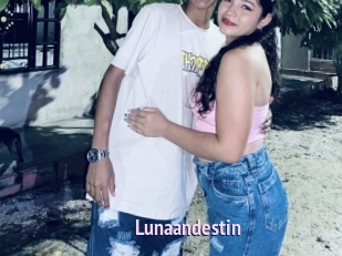 Lunaandestin