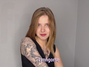 Lynngorse