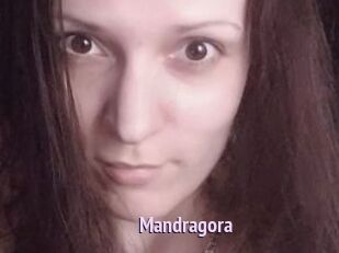 Mandragora