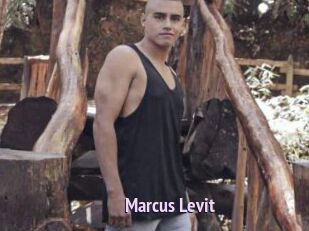 Marcus_Levit
