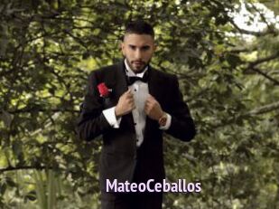 MateoCeballos