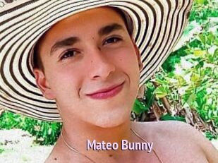 Mateo_Bunny