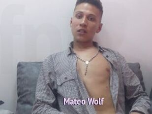 Mateo_Wolf