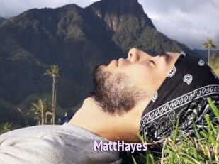 MattHayes