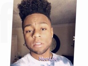MeesLife