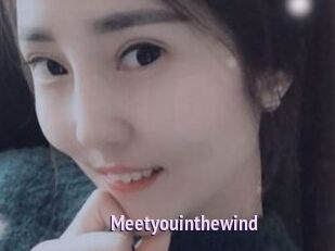 Meetyouinthewind