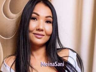 MeinaSani
