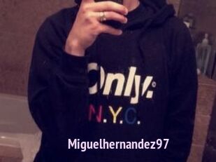 Miguel_hernandez97
