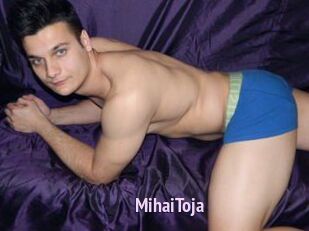 MihaiToja