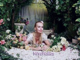 MiyaWalles