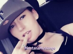 MontanaMustange