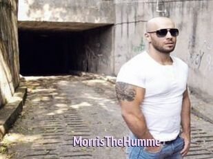 MorrisTheHumme Film Porno