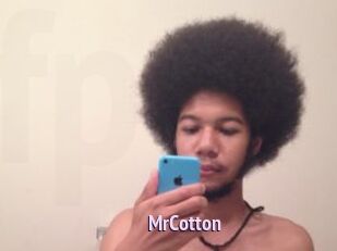 MrCotton