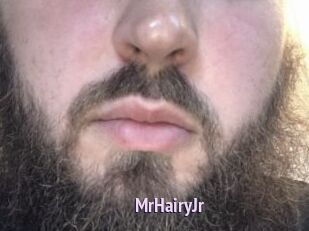 MrHairyJr