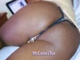 MsCamelToe