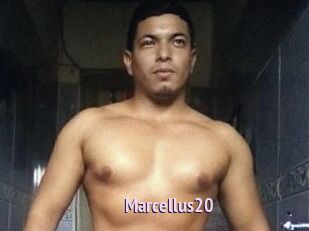 Marcellus20