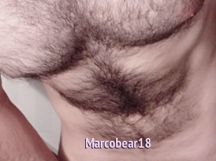 Marcobear18