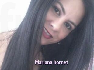 Mariana_hornet