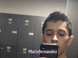 Mariofernandez