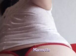 Marmotte