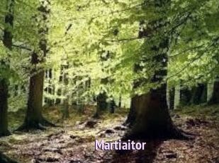 Martiaitor