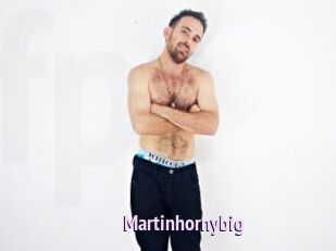 Martinhornybig