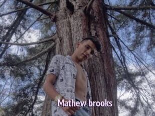 Mathew_brooks