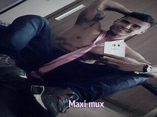 Maxi_mux