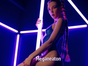 Meganeaton