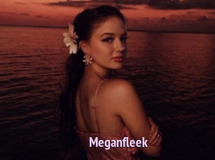 Meganfleek