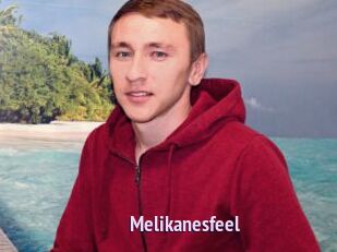 Melikanesfeel