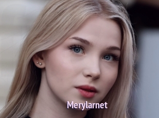 Merylarnet
