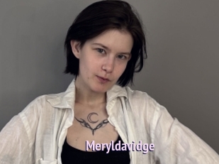 Meryldavidge