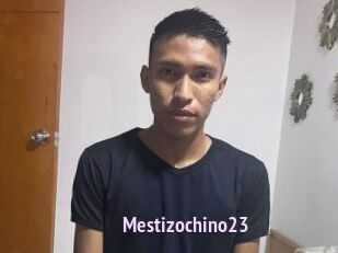 Mestizochino23