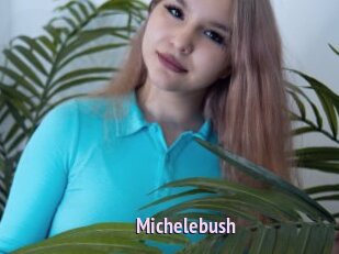 Michelebush