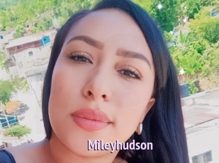 Mileyhudson