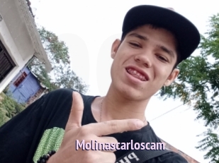 Molinascarloscam
