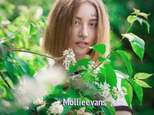 Mollieevans
