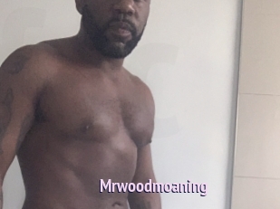 Mrwoodmoaning