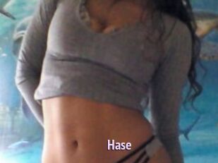 Hase