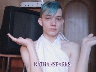 NATHAN_SPARKS